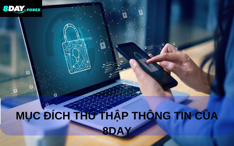 8DAY thu thập thông tin minh bạch