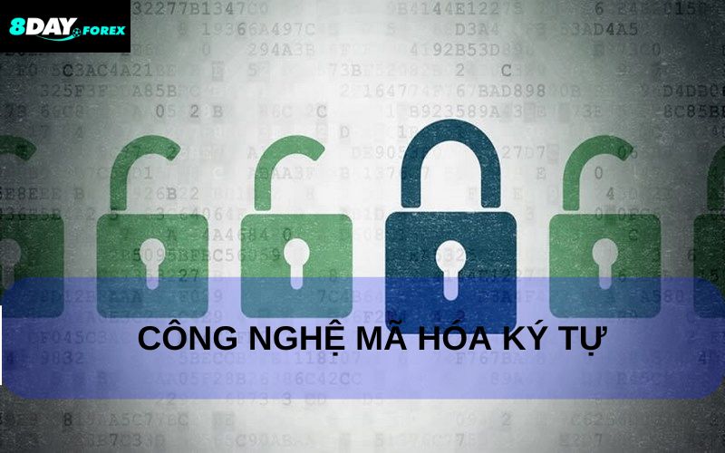 Công nghệ mã hóa trong chính sách bảo mật 8DAY