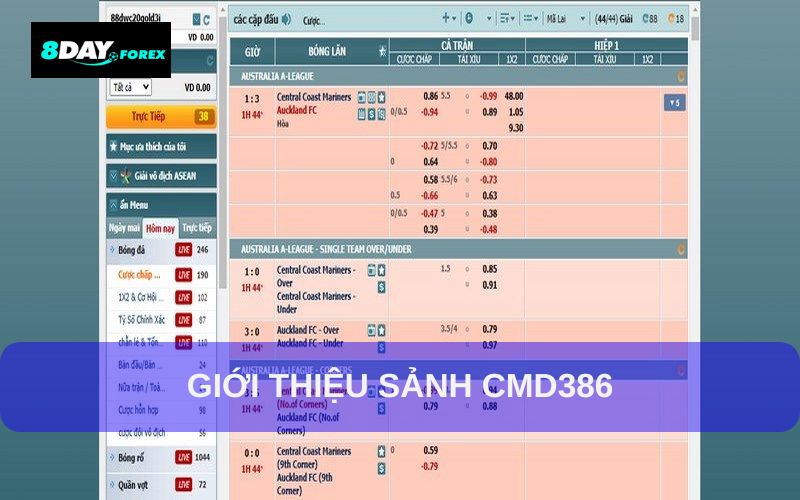 Đôi nét sảnh thể thao CMD