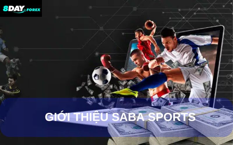 Giới thiệu chi tiết về sảnh Saba Sports