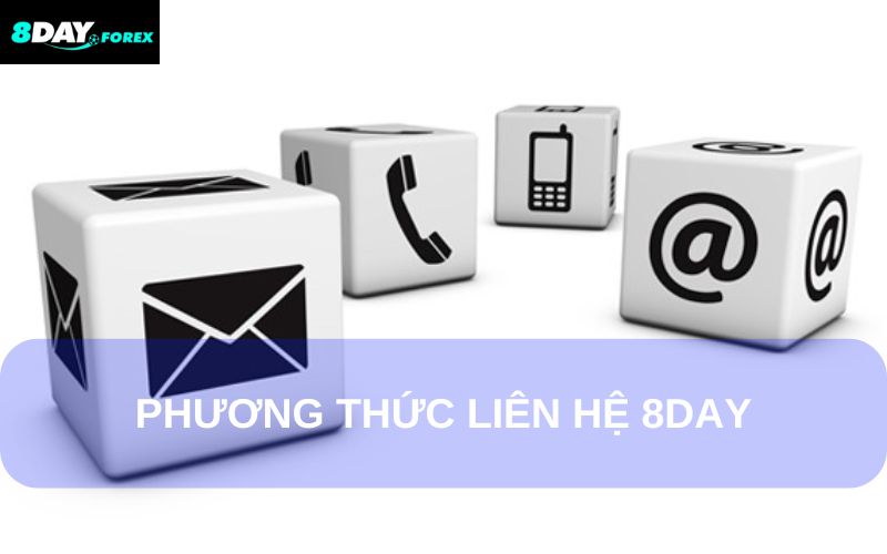 Phương thức liên hệ 8Day