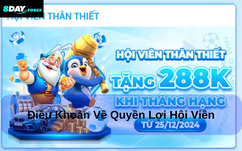Điều khoản sử dụng về quyền lợi hội viên