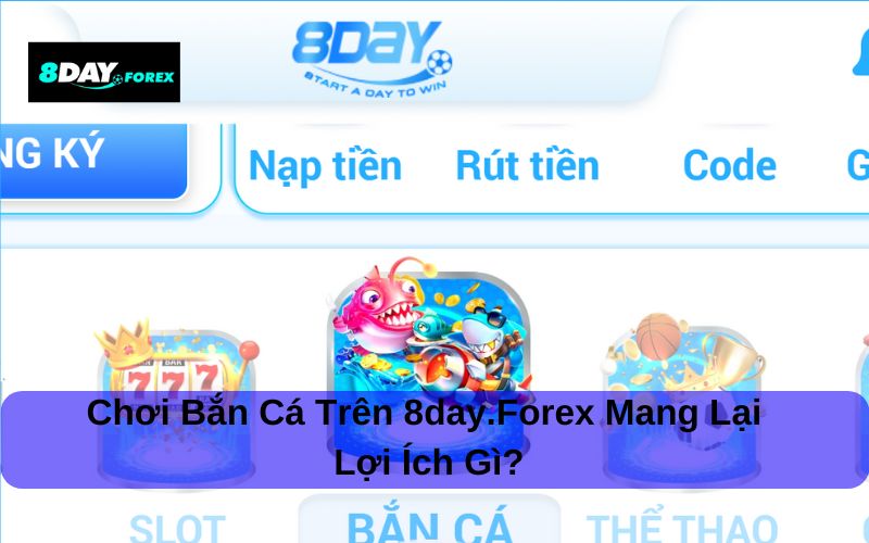 Chơi Bắn cá trên 8day.forex mang lại lợi ích gì?