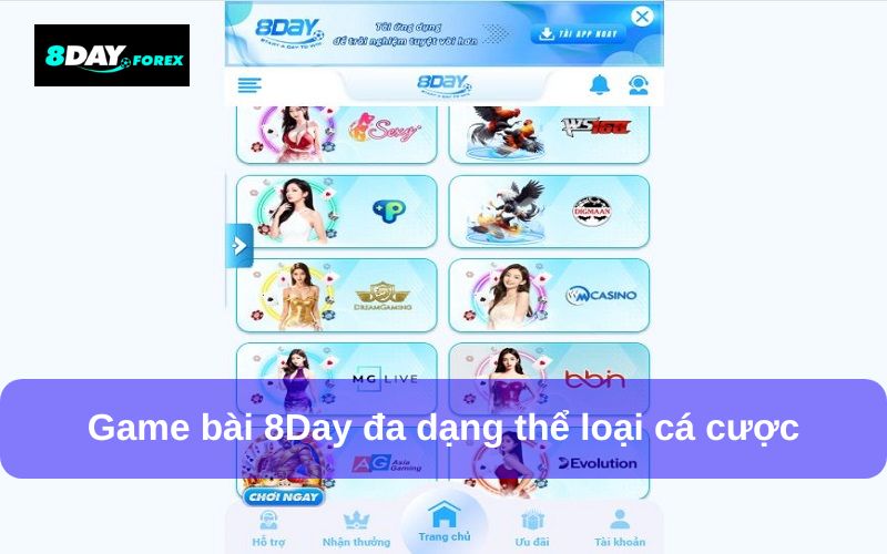 Game bài 8Day cung cấp nhiều thể loại cược đỉnh cao