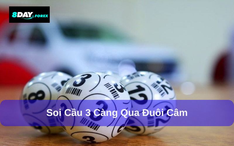 Mẹo soi cầu qua đuôi câm chuẩn
