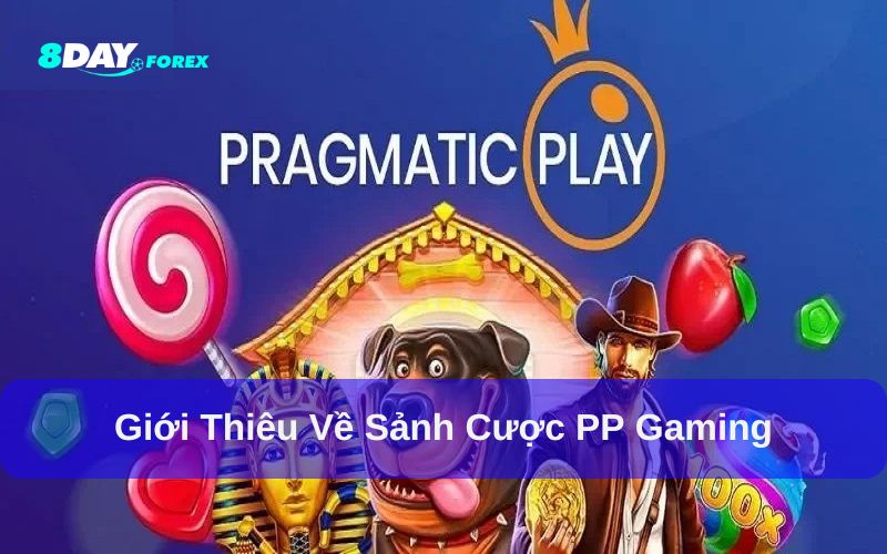 PP Gaming là một trong những sảnh cược uy tín hàng đầu