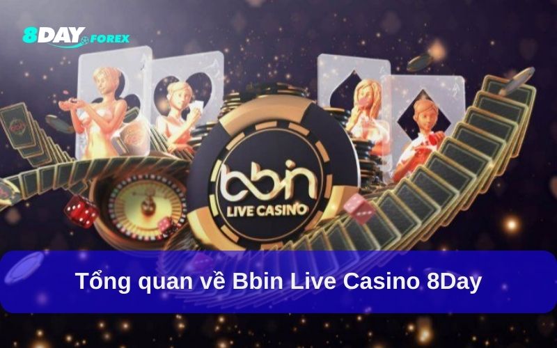 Tổng quan về Bbin Live Casino 8Day