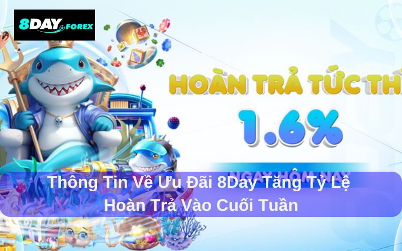 8Day Tăng tỷ lệ hoàn trả vào cuối tuần là ữu đãi cực hấp dẫn